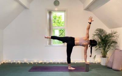 Vinyasa Flow – Full Body
