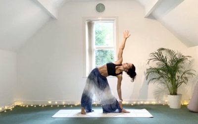 Pose Breakdown – Triangle