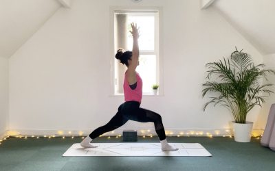 Whole Body Flow