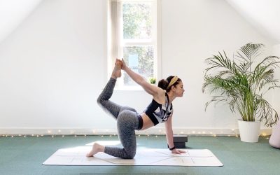 DAY 19: Upper Back Awakening