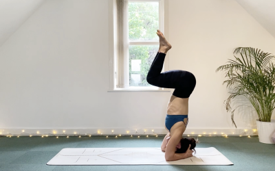 DAY 14: Pose Breakdown: Headstand