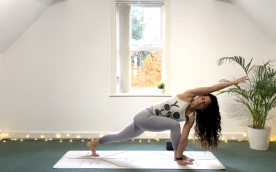 Pose Breakdown: Revolved Side Angle Pose