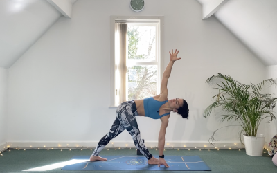 Pose Breakdown – Revolved Triangle
