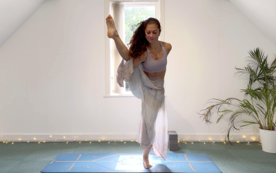 DAY 23: Pose Breakdown: Bird of Paradise
