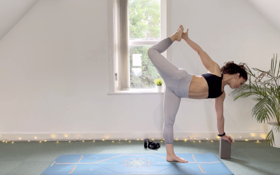 DAY 5: Flow to Bird of Paradise