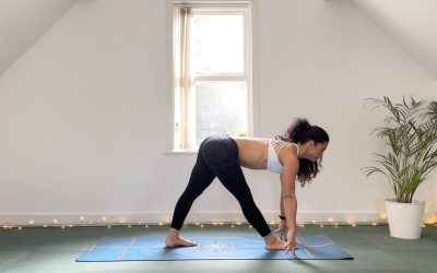 Spinal Awakening Flow