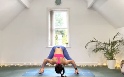 Yin Yang Journey For Your Spine
