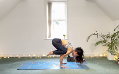 DAY 11 – Pose Breakdown – Crow Pose