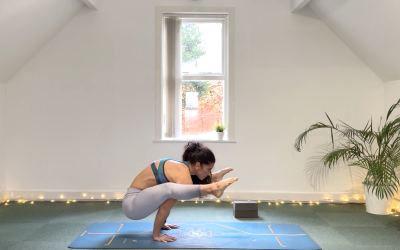 DAY 29 – Pose Breakdown – Firefly Pose