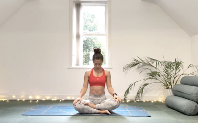 Mobility Challenge Day 1 — Neck, Shoulders, Arms