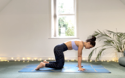 Mobility Day 2 — Upper Back, Arms, Wrists