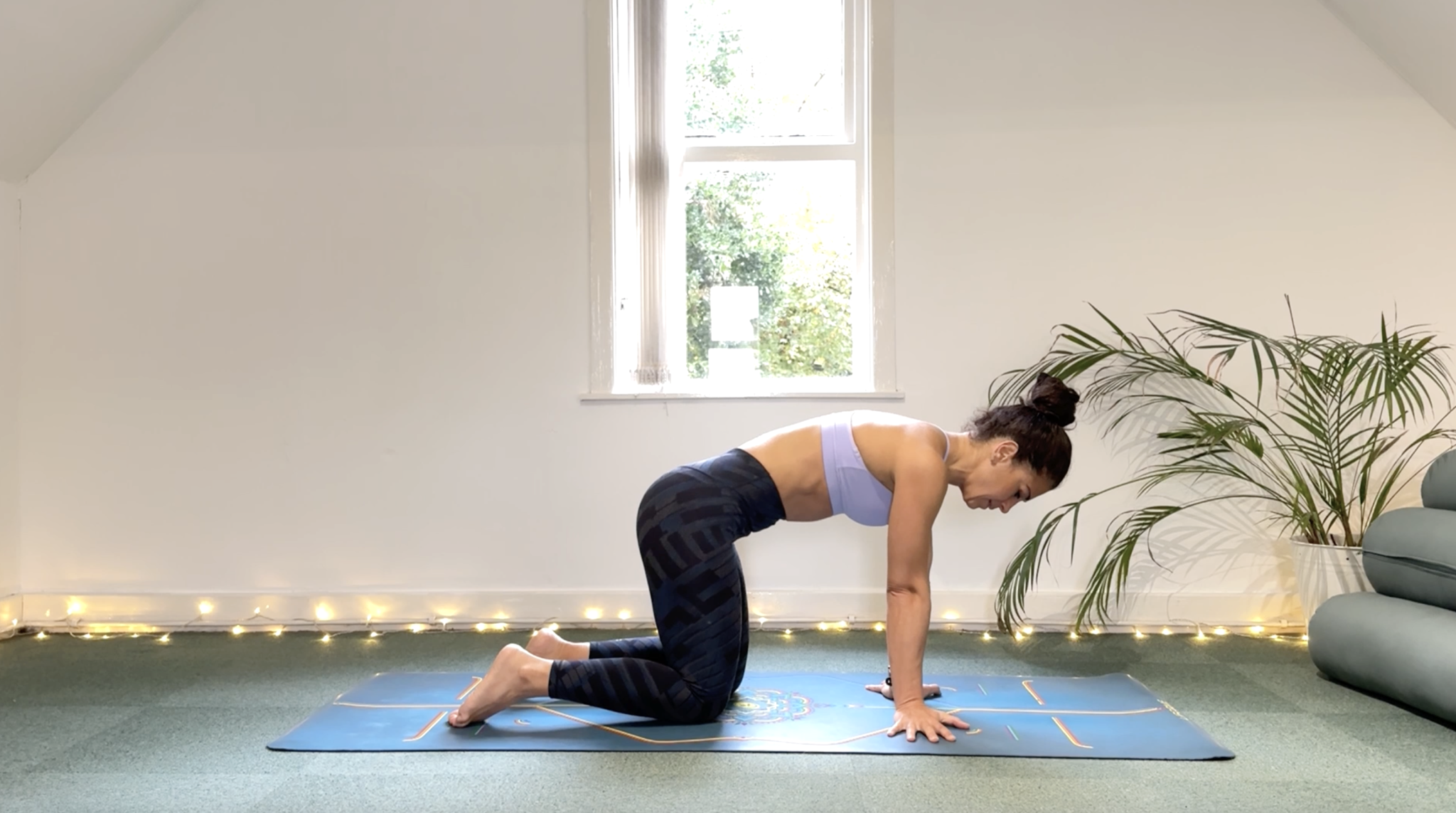 Day 2 — Upper Back, Arms, Wrists