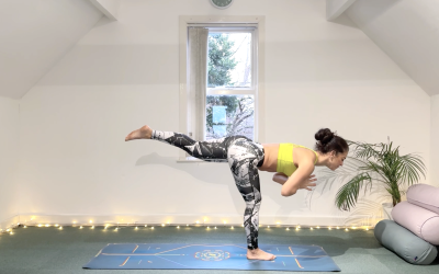 Back Basics – Day 3 – Glute Support for a Stable Back