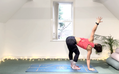 Back Basics – Day 4 – Hamstrings for Back Support