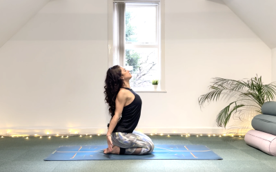 Back Basics – Day 5 – Moving the Spine With Care