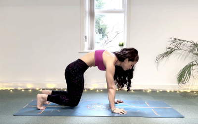 Day 7 – Deep Support for a Comfortable Back