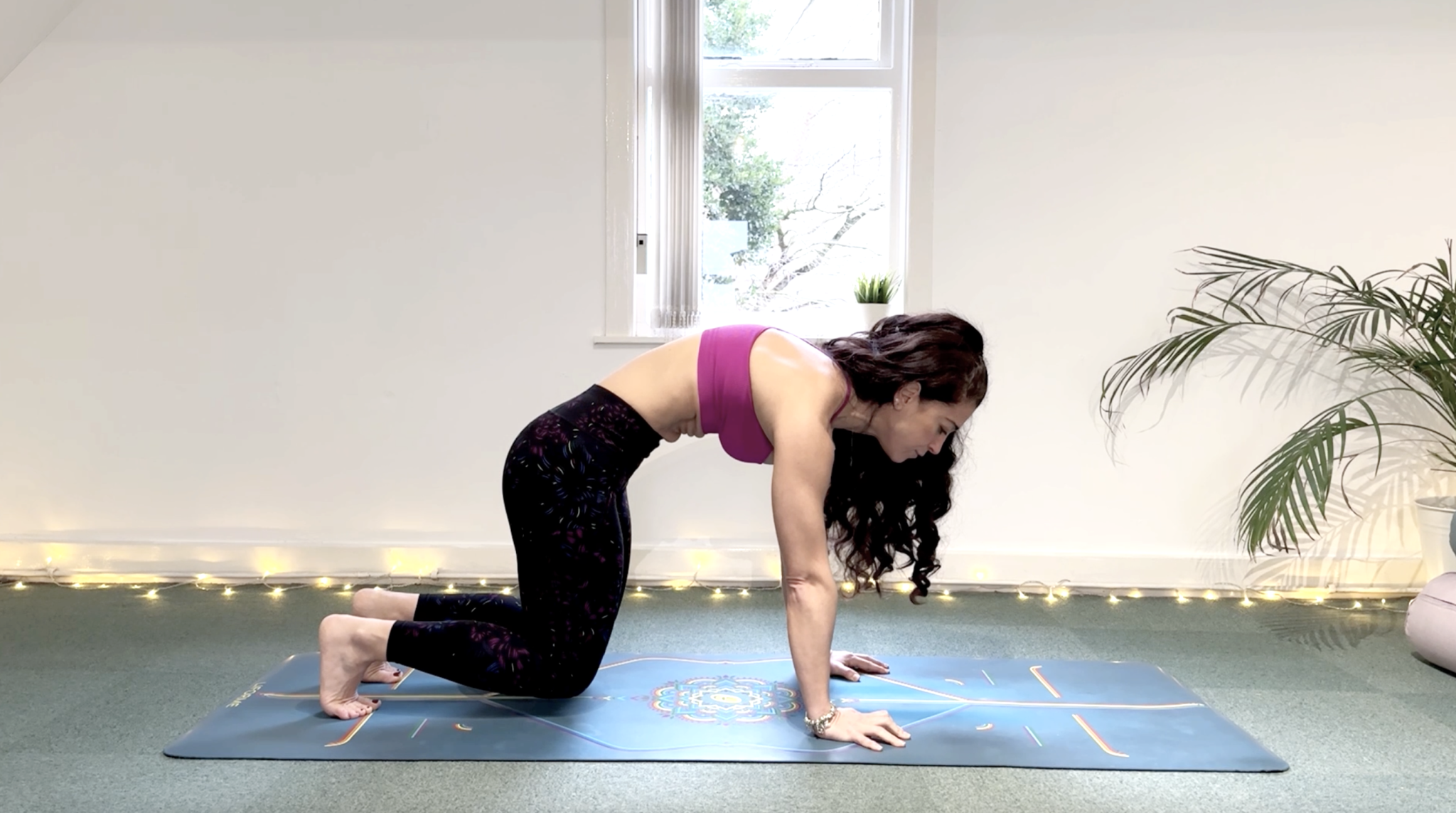 Back Basics - Day 7 – Deep Support for a Comfortable Back