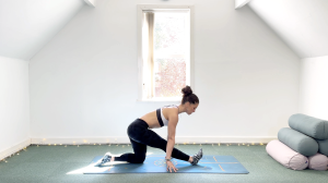 Splits Challenge – D3 – Hamstring Strength and Stretch